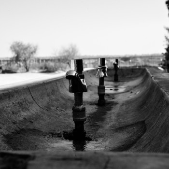 DSC_4228